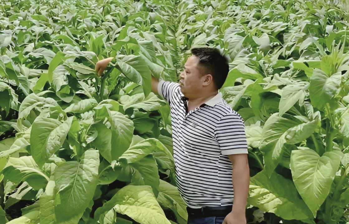 王家興代表：當(dāng)好鄉(xiāng)村發(fā)展引路人